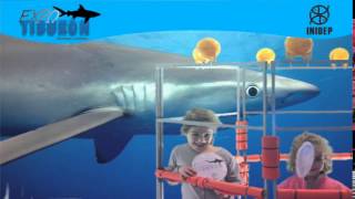 DIA 3 Expo Tiburon59