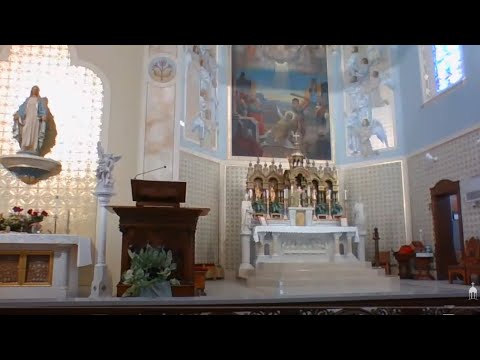 Wedneday 07/08/20 8:00 AM Morning Mass