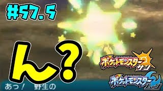 テッカグヤ ポケットモンスター アシレーヌ ラビフット カプ ブルル