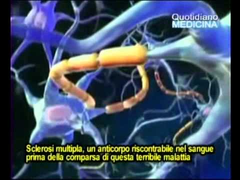 La migliore medicina per gattini per vermi Come trattare piccoli porchi vermi