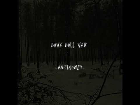dove (doll ver) -antihoney- (slowed reverb) Tiktok Version