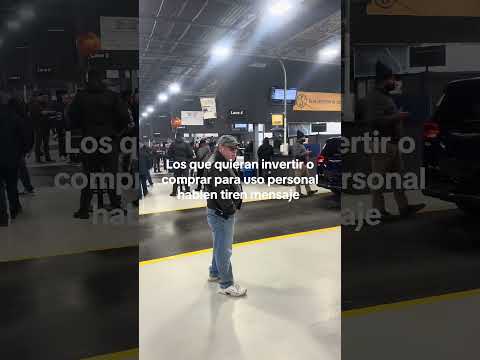 Short Tío Edu
