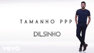 Dilsinho - Tamanho PPP (Áudio Oficial)