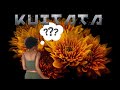 KUITATA Dj Arafat Feat Dj Stephy Kuitata