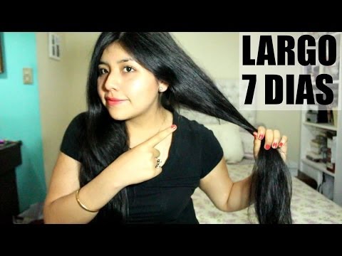 El huevo el aceite de oliva de los cabello