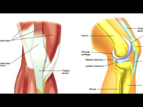 WHITEBOARD WEDNESDAY: Arthritis is Most Common in this Joint