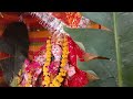 Arati 2023 Dashama Ni Aarati 2023 Dashama Video 2023 Dashama Visarjan JD Official Dashama