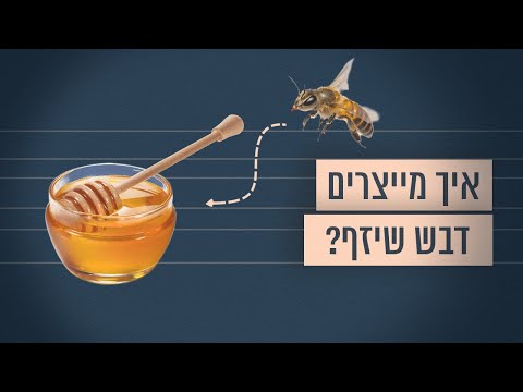 , title : 'כך מייצרים את הדבש הישראלי המשובח | תוצרת ישראל'