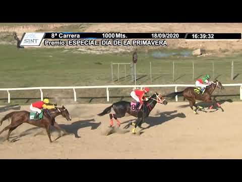 18/09/2020 – Hipodromo Florida – Carr 8 – DIA DE LA PRIMAVERA