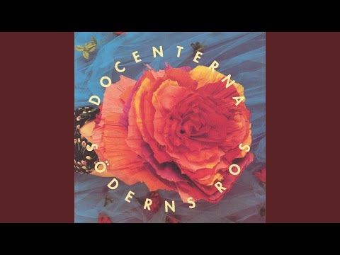 Söderns Ros - Docenterna