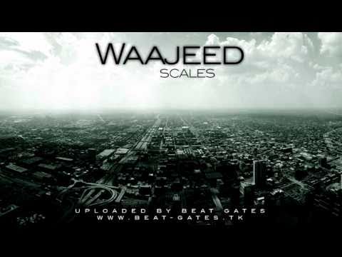Waajeed - Scales - HD