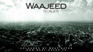 Waajeed - Scales - HD