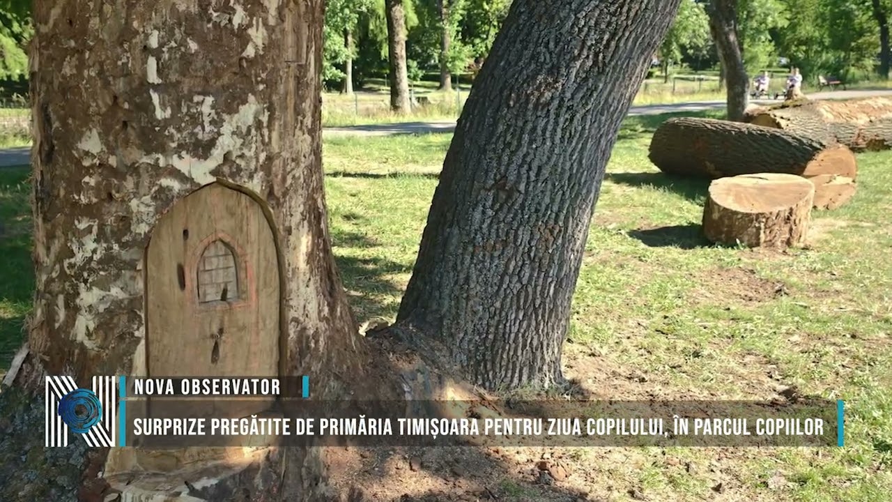 Surprize pregătite de Primăria Timișoara pentru Ziua Copilului, în Parcul Copiilor