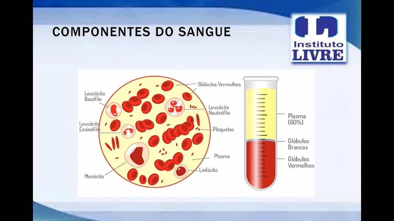 Aula 23.1 Hemoterapia