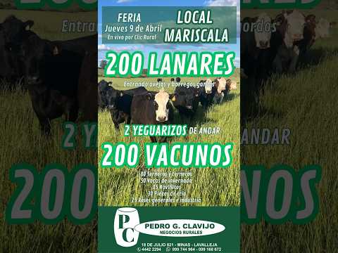 9/4/2026 Feria Mensual - Local Mariscala - Lavalleja - Pedro G. Clavijo I Clic rural