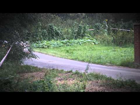 23. Rajd Rzeszowski RSMP: LOTOS Rajdowe Samochodowe Mistrzostwa Polski