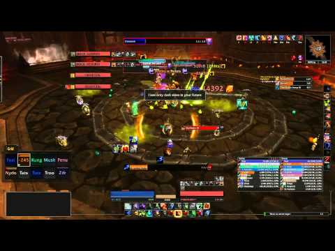 Paragons of the Klaxxi 10 man normal - Elemental Shaman POV