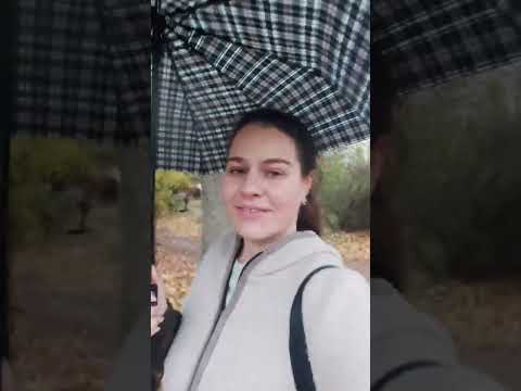 Воздушная тревога и непогода в Севастополе | Дождь и ветер