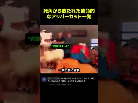 死角から放たれた致命的なアッパーカット一発