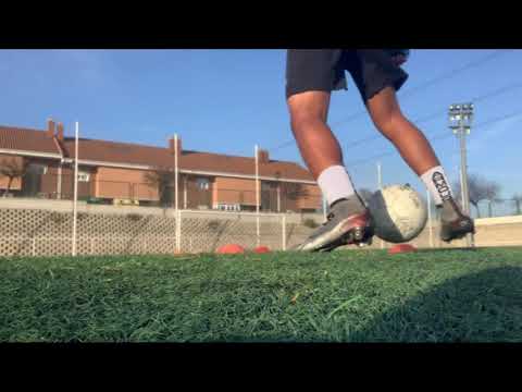 Highlights vs wong tai sin