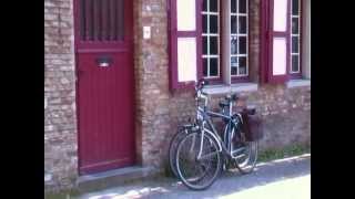 BELGIUM - White Noise - Mogwai