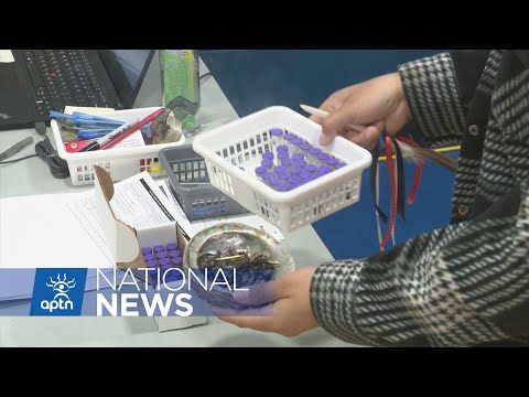 Here’s the latest COVID-19 update for Indigenous Peoples across the country | APTN News