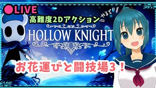 【Hollow Knight】灰色の哀悼者イベ＆闘技場３攻略！【生配信/Vtuber】