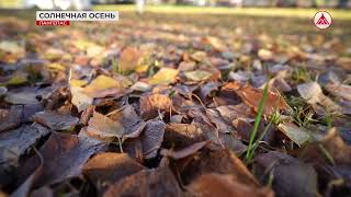 Солнечная осень в Лангепасе 15-10-2025