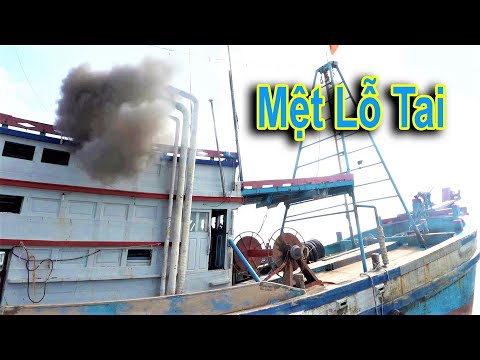 Uống Thuốc Trợ Tim Trước Khi Xem Clip Tàu Này Chạy #53 vũng Tàu