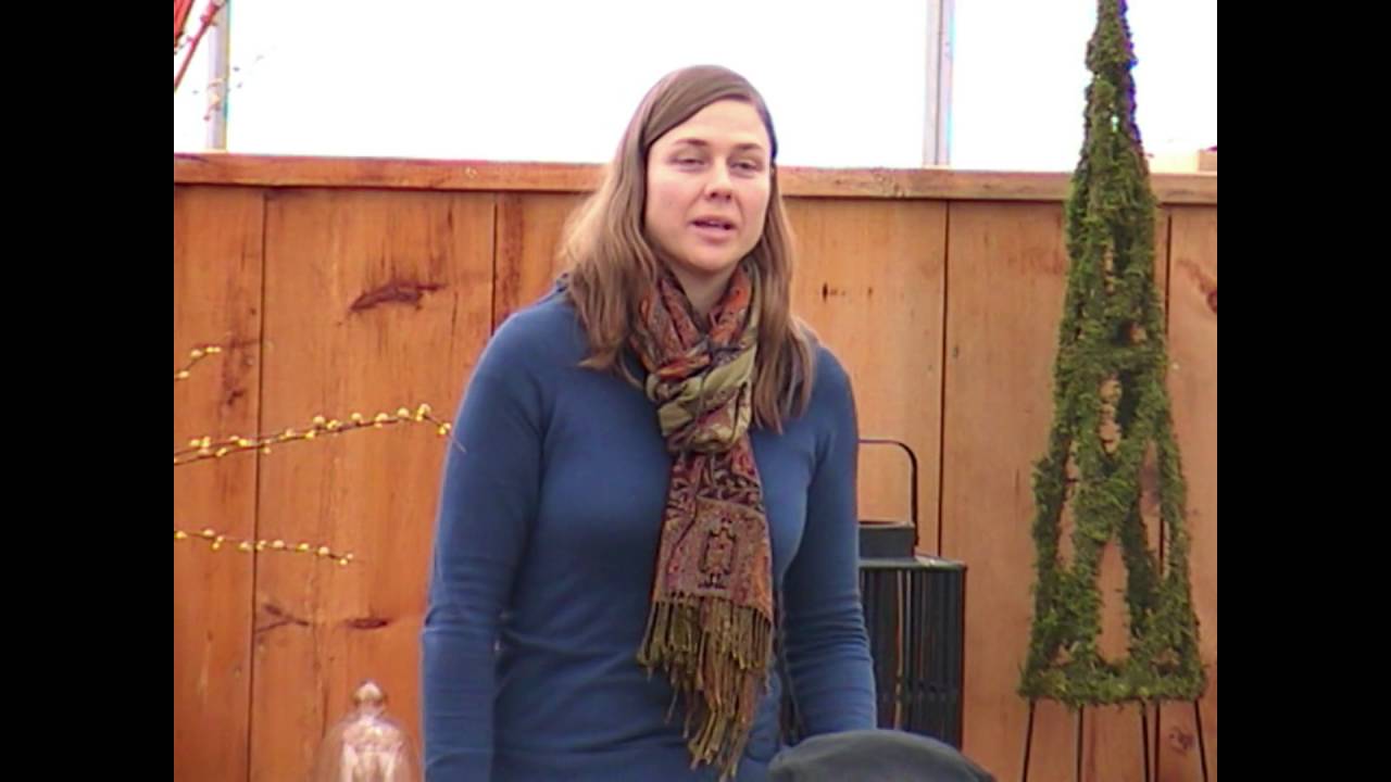 Herbs for the Digestive System - YouTube