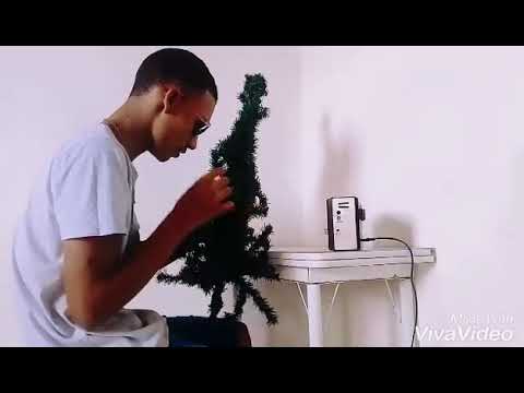 MC Pinguim - Ding Dingoubel