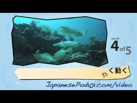 Japanese Listening Comprehension At a Japanese Bookstore