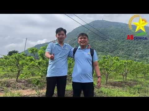 LONGDAN 30.5SC - SẢN PHẨM VÀNG BẢO VỆ TOÀN DIỆN CÂY TRỒNG