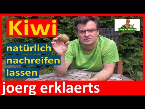 Obst Früchte  nachreifen lassen, ohne Chemie.....Lifehack....Tutorial Vol.113