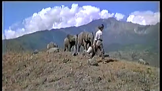 The Baby Elephant Walk from &quot;Hatari&quot;  by Henry Mancini