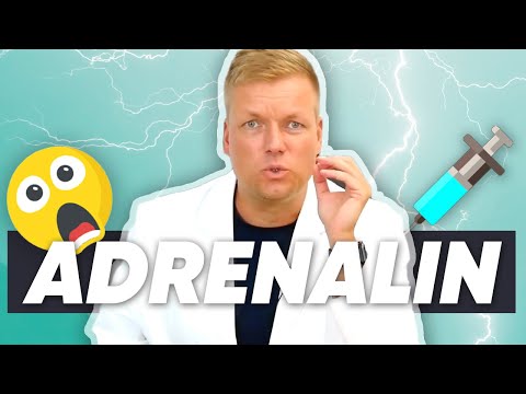Wie Adrenalin und Noradrenalin wirkt - Arzneimittel und Medikamente erklärt von Apotheker Jan Reuter
