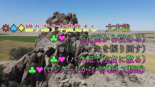 治安悪すぎるカラオケ(拳塊) のサムネイル