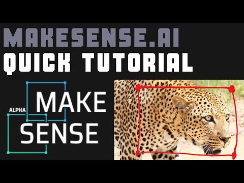 How To Use makesense.ai [Quick Video]