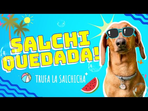 SALCHIQUEDADA! Pool, Balls and Lots of Fun! 🌭💦