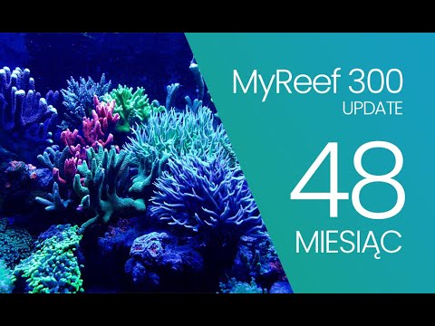 (178) MyReef 300 / Update / 48 months - Marine aquarium - Reef aquarium