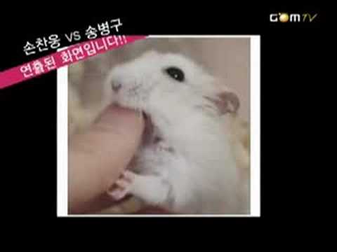 BackHo vs Stork - Game 1 [Quarter final Round2 Group A]