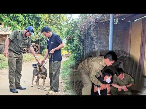Hoang Manh is determined to catch the chicken thief and bring him to justice.