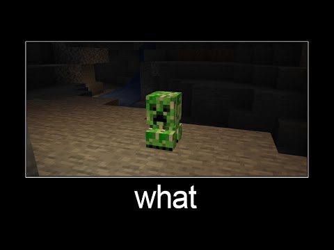 Minecraft wait what meme part 113 (parrot in glass)
