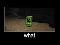 Minecraft wait what meme part 113 (parrot in glass)