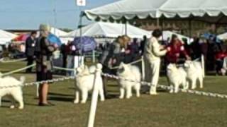 Polar Mist Trace in Scottsdale