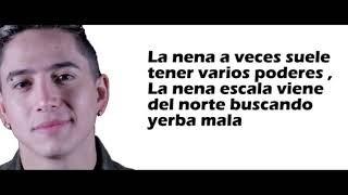 🌿Andy Rivera y Dalmata |Yerba mala| Letra👍