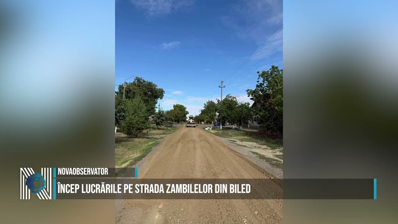 Curți verzi pentru elevii din Timișoara