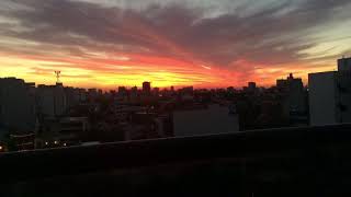 Vivo sonhando (Jobim)