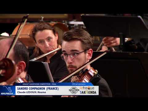 Sandro Compagnon (France) - Noema by Claude Ledoux (Dinant 2019)