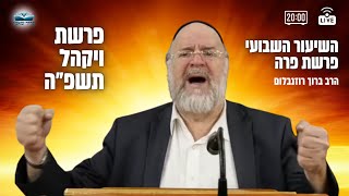 השיעור השבועי פרשת ויקהל תשפ"ה - הרב ברוך רוזנבלום  - שיעור אלעד (הרב ברוך רוזנבלום) - התמונה מוצגת ישירות מתוך אתר האינטרנט יוטיוב. זכויות היוצרים בתמונה שייכות ליוצרה. קישור קרדיט למקור התוכן נמצא בתוך דף הסרטון